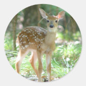 Whitetail Deer Fawn Sticker (Voorkant)