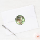 Whitetail Deer Fawn Sticker (Envelop)