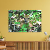 Whitetail Deer Fawn Wrapped Canvas print (Insitu (Woonkamer))