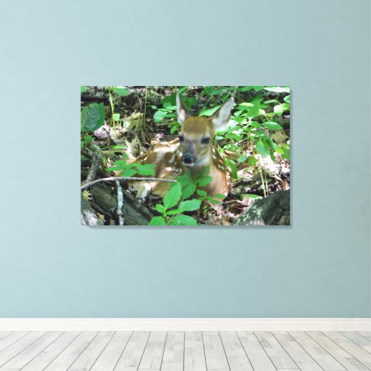 Whitetail Deer Fawn Wrapped Canvas print (Insitu (Houten vloer))