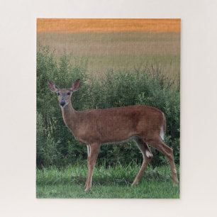 Whitetail Deer Hayfield in Evening Sunset Legpuzzel