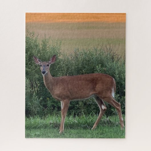 Whitetail Deer Hayfield in Evening Sunset Legpuzzel (Verticaal)
