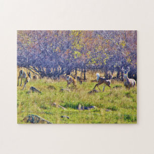 Whitetail Deer in Big Horn, Wyoming Legpuzzel