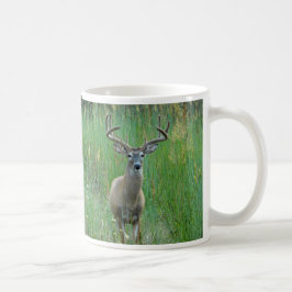 Whitetail Deer in de Mok van het Beemdje