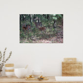 Whitetail Deer in de Poconos. druk 0200 Poster (Keuken)
