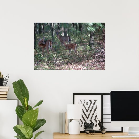 Whitetail Deer in de Poconos. druk 0200 Poster (Thuiskantoor)