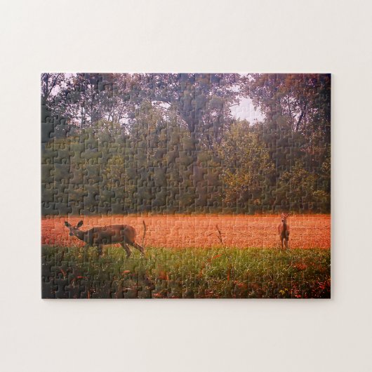 Whitetail Deer in een gebied Legpuzzel (Horizontaal)