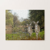 Whitetail Deer in Forest Collage Art Legpuzzel (Horizontaal)