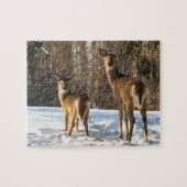 Whitetail Deer in sneeuw Legpuzzel (Horizontaal)