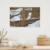 Whitetail Deer in sneeuw Poster (Keuken)