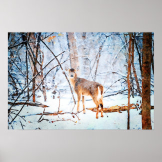 Whitetail Deer in Snow Waterverf-schilderkunst Poster
