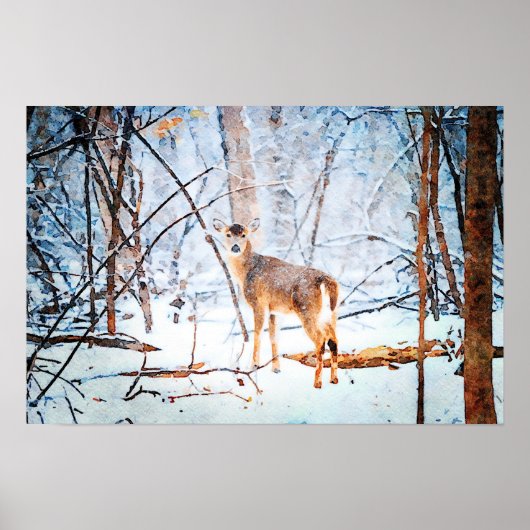Whitetail Deer in Snow Waterverf-schilderkunst Poster (Voorkant)