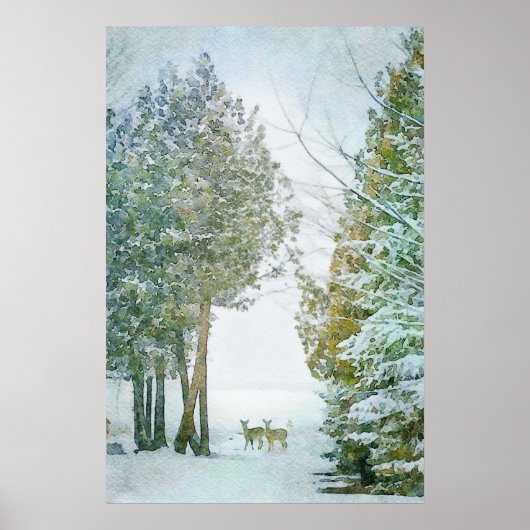 Whitetail Deer in Winter Snow Wildlife Waterverf Poster (Voorkant)