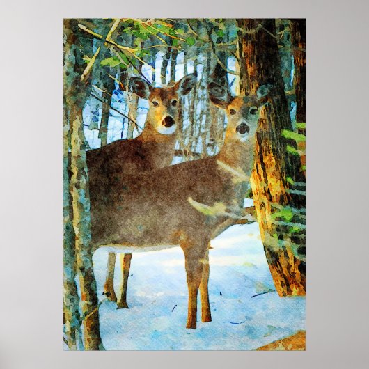 Whitetail Deer in Winter Snow Wildlife Waterverf Poster (Voorkant)