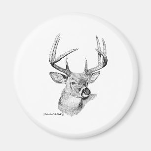 Whitetail Deer Magneet