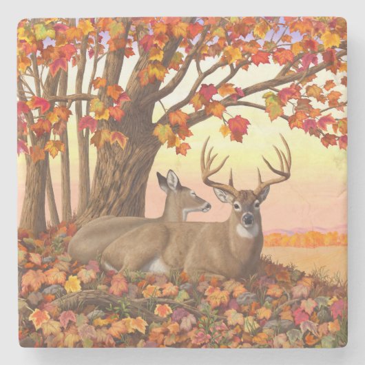 Whitetail Deer Maple Tree Oranje Stenen Onderzetter (Voorkant)