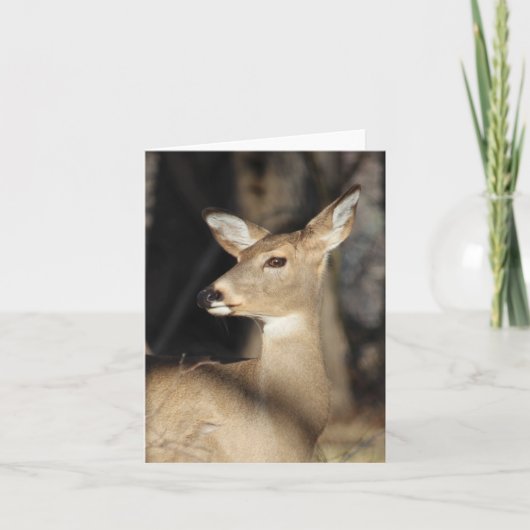 Whitetail Deer Notecard - Blank Inside Bedankkaart (Voorkant)