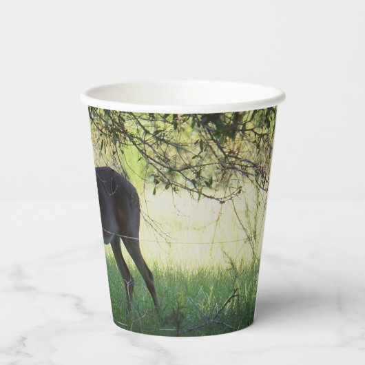 Whitetail Deer-papierbekertje - Beautiully Random Papieren Bekers (Achterkant)