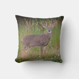 Whitetail Deer Portret Pillow Kussen