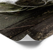 Whitetail Deer Poster (Hoek)