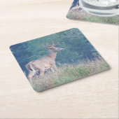 Whitetail Deer Profile in het Onderzetter van veld (Schuin)
