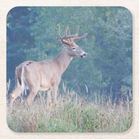 Whitetail Deer Profile in het Onderzetter van veld (Voorkant)