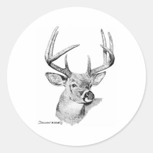 Whitetail Deer Ronde Sticker