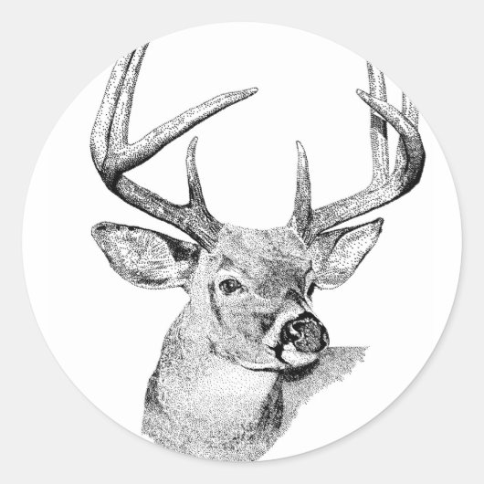 Whitetail Deer Ronde Sticker (Voorkant)