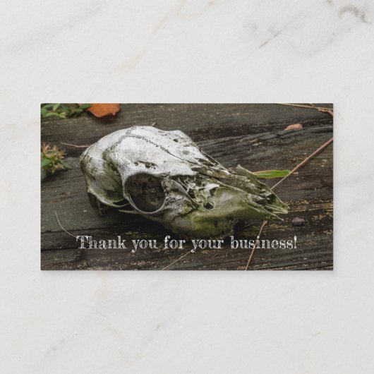Whitetail Deer Skull Visitekaartje (Achterkant)
