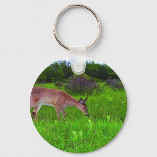 Whitetail Deer Sleutelhanger (Voorkant)