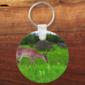 Whitetail Deer Sleutelhanger (Voorkant)