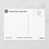 Whitetail Deer Spike Buck reeks Briefkaart (Achterkant)