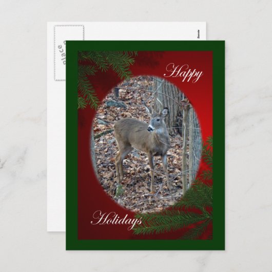 Whitetail Deer Spike Prettige feestdagen reeks (Voorkant / Achterkant)