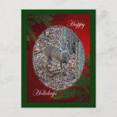 Whitetail Deer Spike Prettige feestdagen reeks (Voorkant)