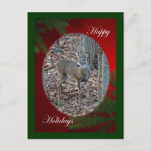 Whitetail Deer Spike Prettige feestdagen reeks (Voorkant)