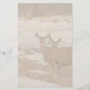 Whitetail Deer Stationery Briefpapier