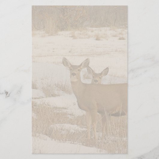 Whitetail Deer Stationery Briefpapier (Voorkant)