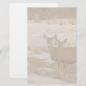 Whitetail Deer Stationery Briefpapier (Voorkant / Achterkant)