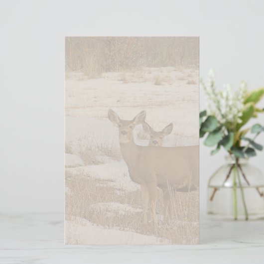 Whitetail Deer Stationery Briefpapier (Staand voorkant)