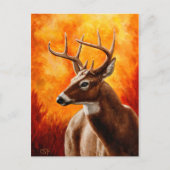 Whitetail Deer Trophy Buck Briefkaart (Voorkant)
