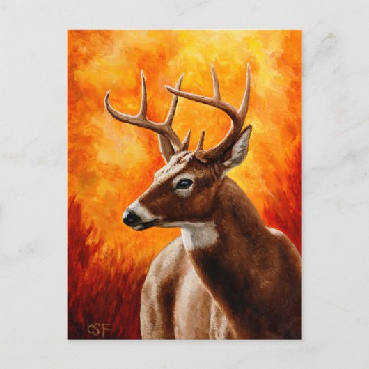 Whitetail Deer Trophy Buck Briefkaart (Voorkant)