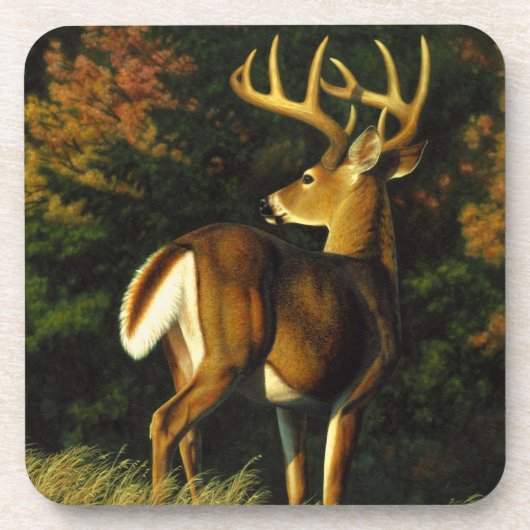 Whitetail Deer Trophy Buck Hunting Drankjes Onderzetter (Voorkant)