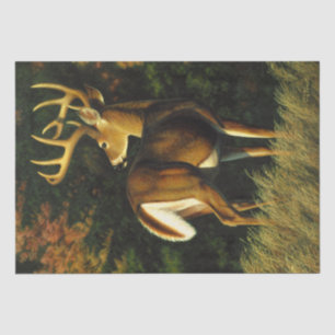 Whitetail Deer Trophy Buck Hunting Tissuepapier
