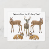 Whitetail Deer Uitnodiging (Voorkant / Achterkant)