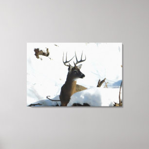 Whitetail Deer Winter Antlers Canvas Afdrukken