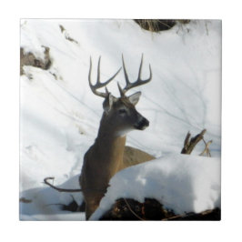 Whitetail Deer Winter Antlers Decoratieve Teile Tegeltje