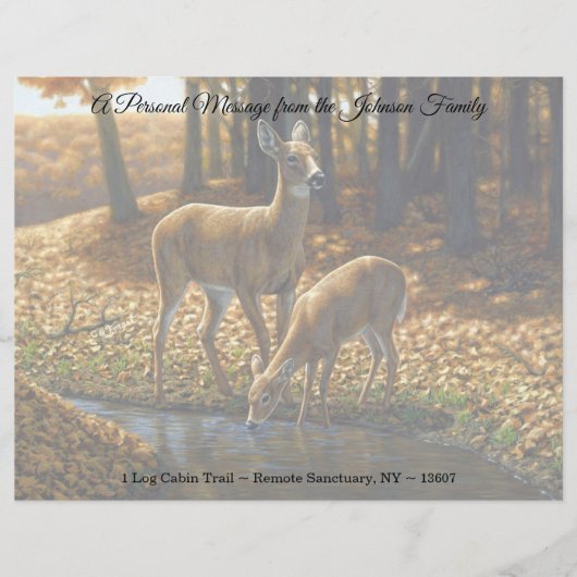 Whitetail Doe en Fawn Drink van een Stream Lett Briefhoofd (Voorkant)