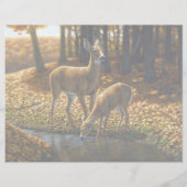 Whitetail Doe en Fawn Drink van een Stream Lett Briefhoofd (Achterkant)