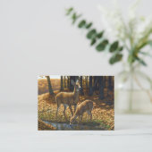 Whitetail Doe en Gemeld die van een Stroom Drink Visitekaartje (Staand voorkant)