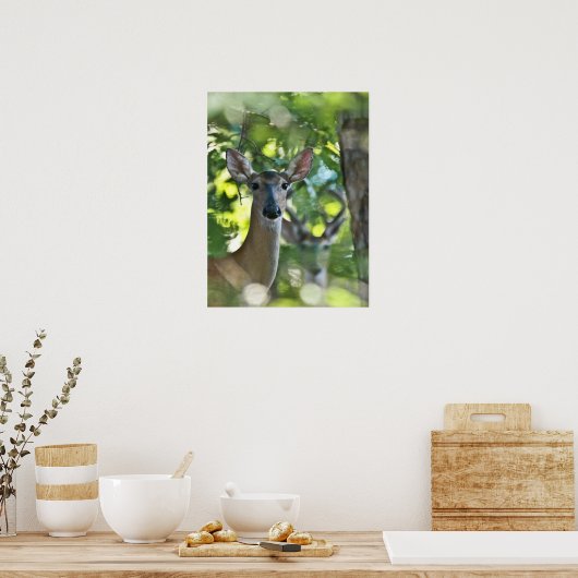 Whitetail Doe #Fotobom door Creepy Deer Poster (Keuken)